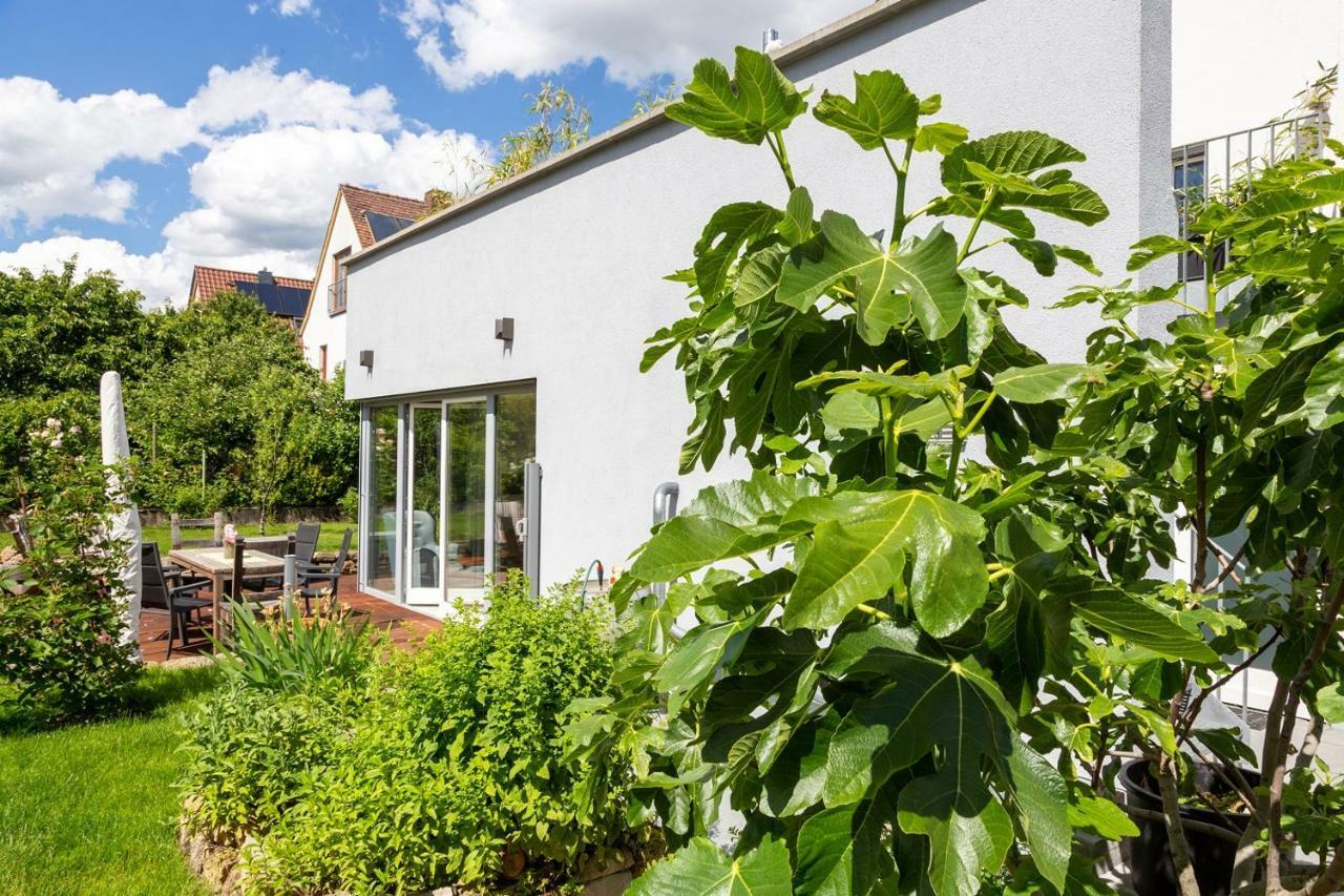 Ferienwohnung Im Paradiesgarten ไดเดสไฮม์ ภายนอก รูปภาพ